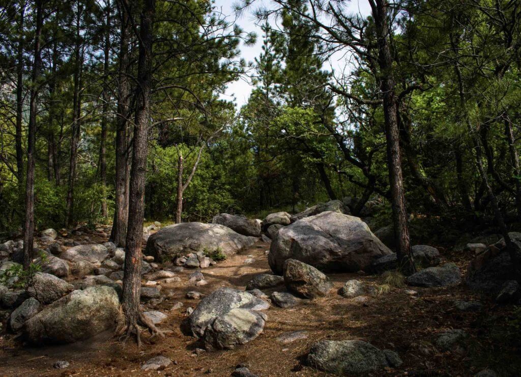 Cheyenne Mountain State Park • Photo by Matt Morris, @mmorrisphotography_