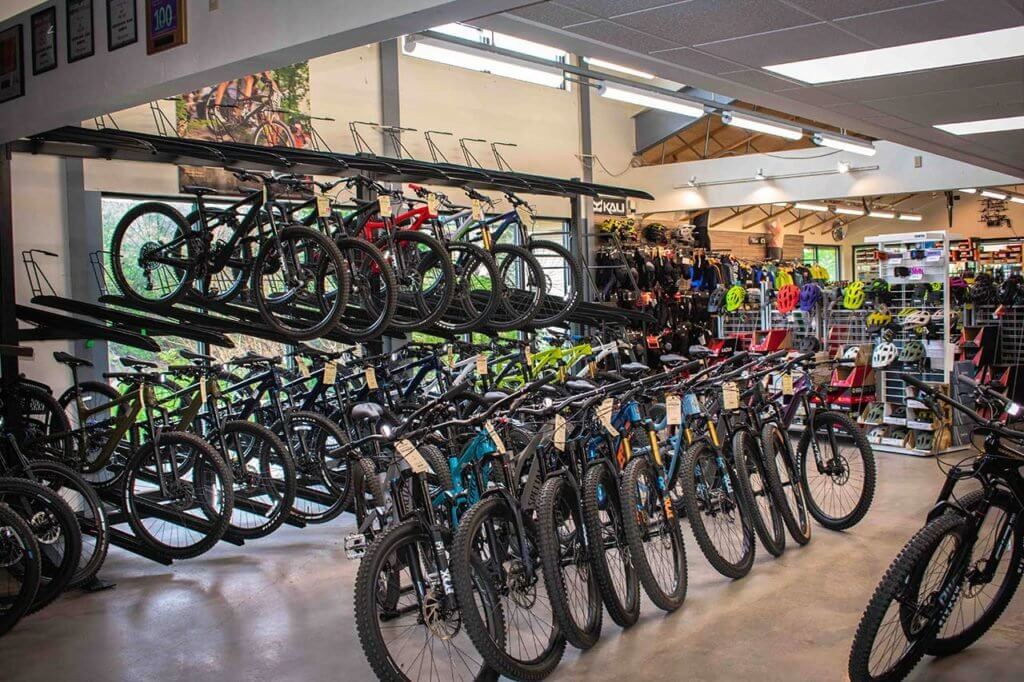 An array of bikes on display at Criterium Bicycles  •  Photo by Matt Morris - @mmorrisphotography_