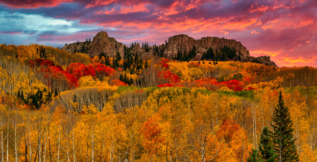 Fall colors. Photo by Rafael Calderon.
