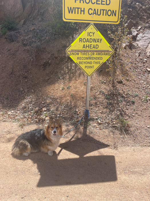 Olive loves to hike!